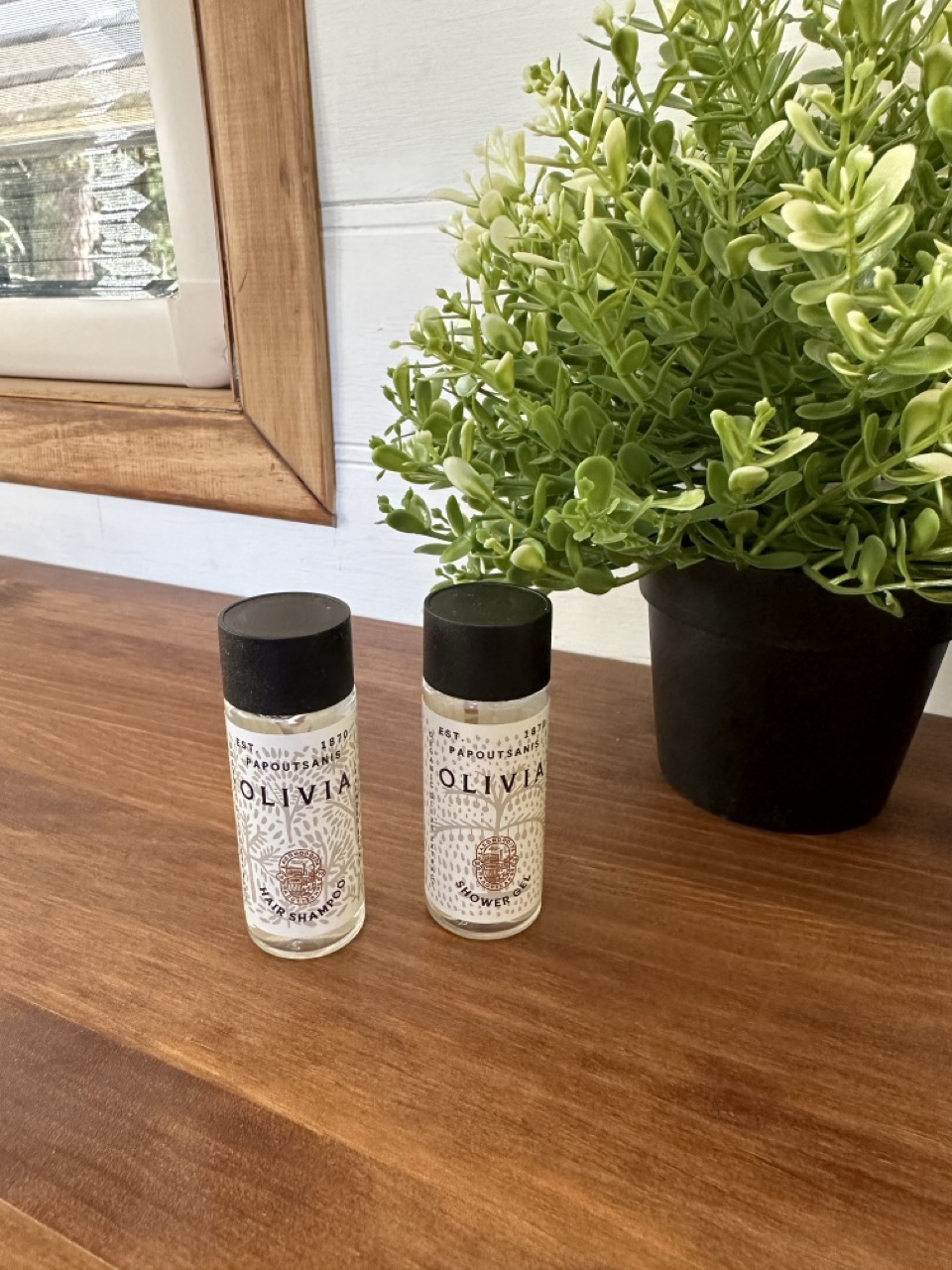 Set de bienvenida con gel y champú junto a una planta